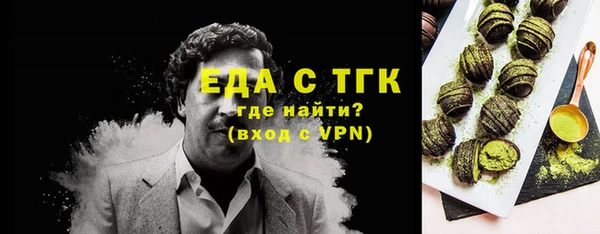 хмурый Горняк