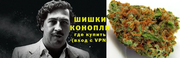 стафф Нефтегорск