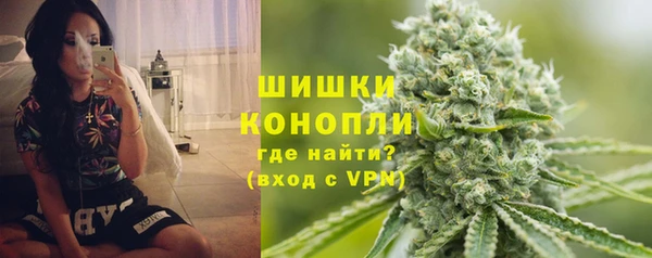 хмурый Горняк