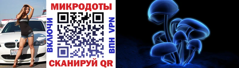 Галлюциногенные грибы Psilocybe  Ивангород 